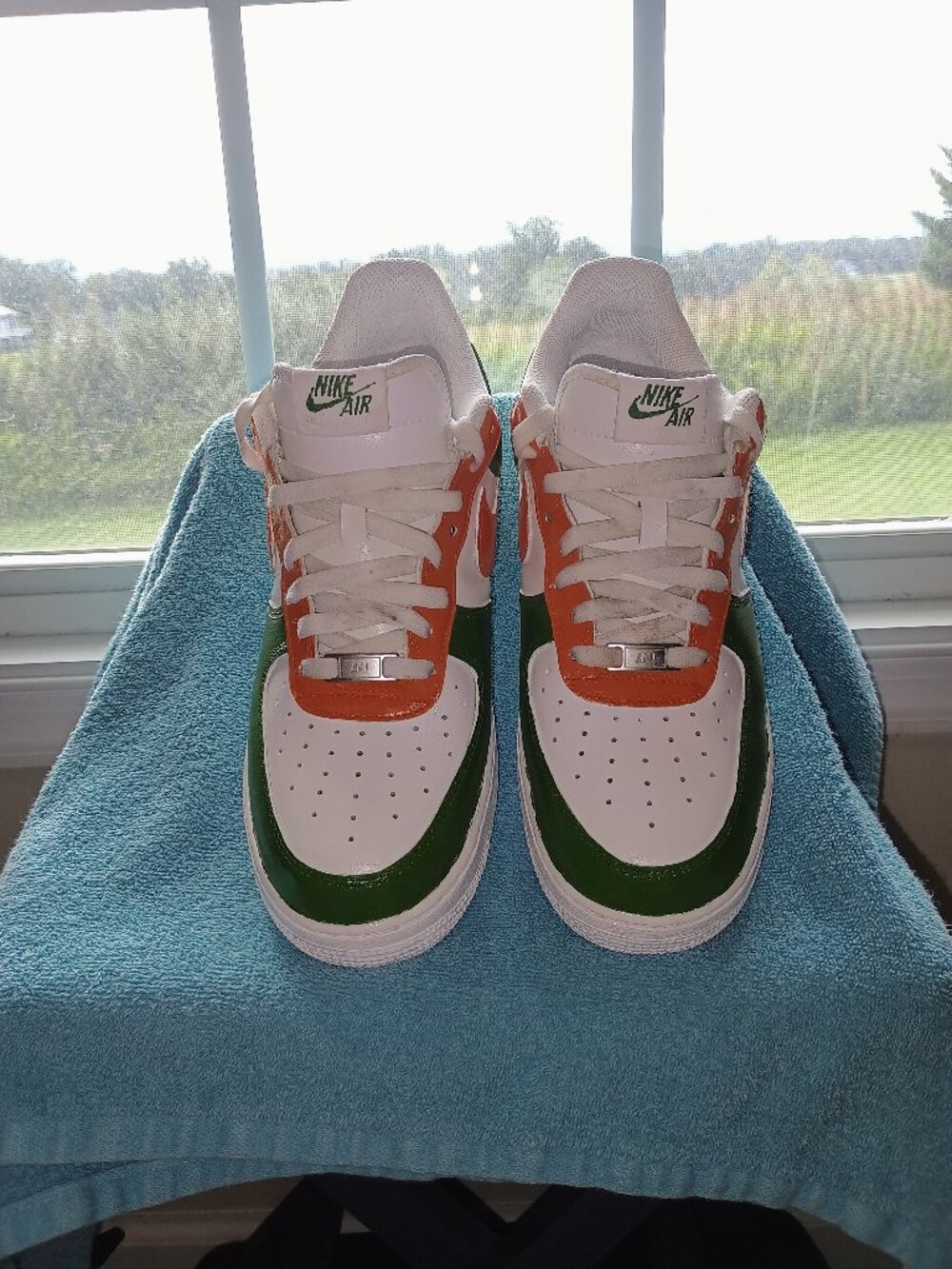Hand-Painted Nike Air Force 1 Low Sneaker